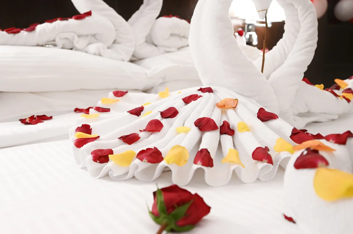 Swan towel arrangement with rose petals for a romantic stay